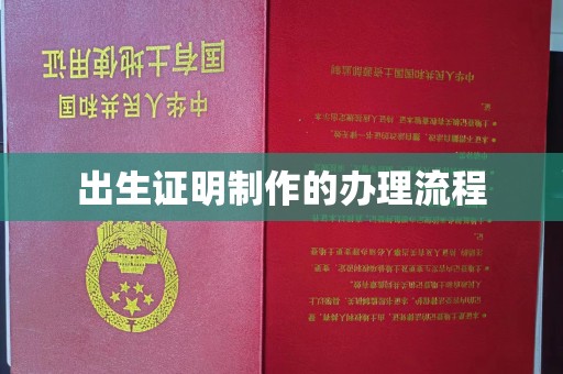 阿拉尔出生证明制作的办理流程