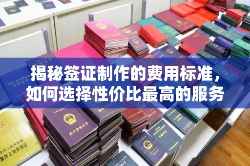 阿拉尔揭秘签证制作的费用标准，如何选择性价比最高的服务？