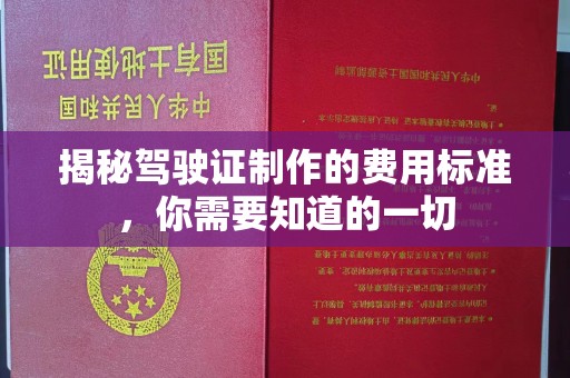 阿拉尔揭秘驾驶证制作的费用标准，你需要知道的一切