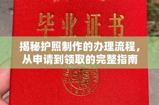 阿拉尔揭秘护照制作的办理流程，从申请到领取的完整指南