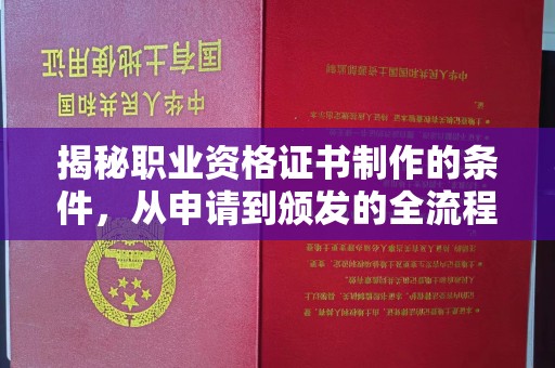 阿拉尔揭秘职业资格证书制作的条件，从申请到颁发的全流程解析