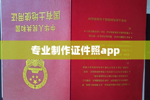阿拉尔专业制作证件照app